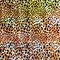 American Crafts Minc Reactive Foil 12.25"x6' Leopard 314494 Heidi Swapp